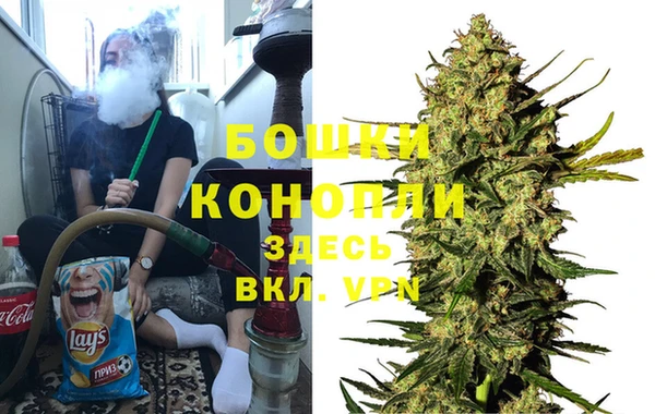 сатива Касимов