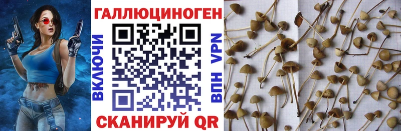 Псилоцибиновые грибы MAGIC MUSHROOMS  купить   Кировск 